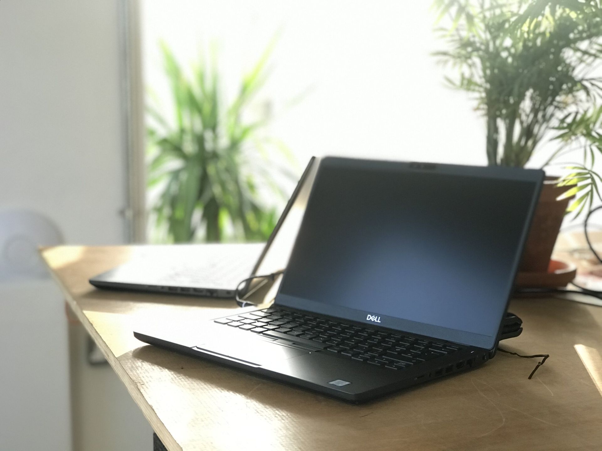 laptops on the table